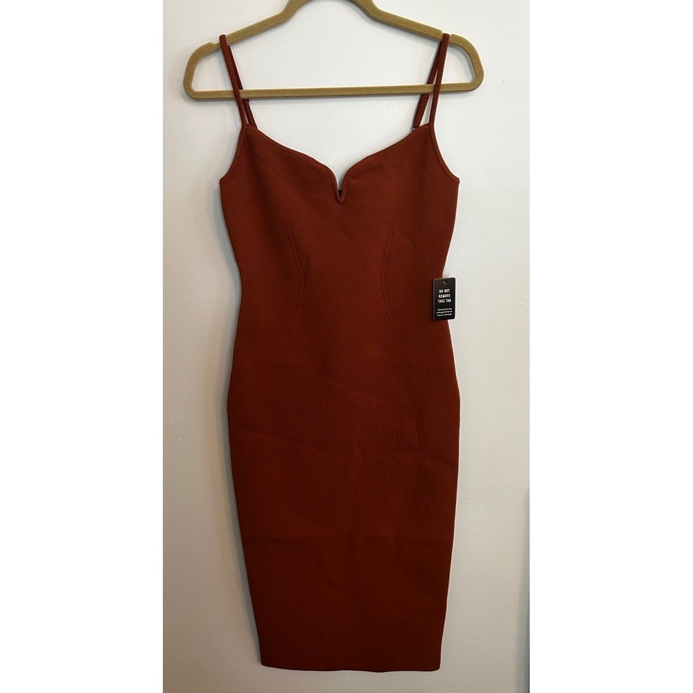 Express bodycon dress